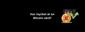 bitcoin priset artikel
