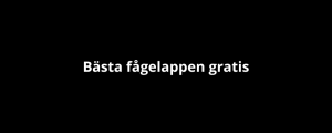 Bästa fågelappen gratis Bästa fågelappen gratis